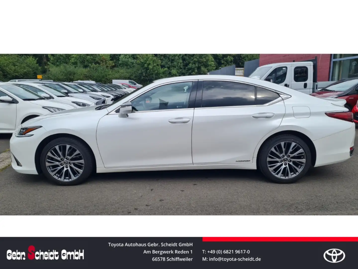 Lexus ES 300 300h EU6d Style Edition Standheizung LED-Hauptsche Weiß - 2