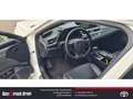 Lexus ES 300 300h EU6d Style Edition Standheizung LED-Hauptsche Weiß - thumbnail 9
