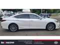 Lexus ES 300 300h EU6d Style Edition Standheizung LED-Hauptsche Weiß - thumbnail 6