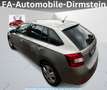 Skoda Rapid/Spaceback Spaceback Joy* NAVI*PDC*STHZ*TEM*E6*MFL Beige - thumbnail 6