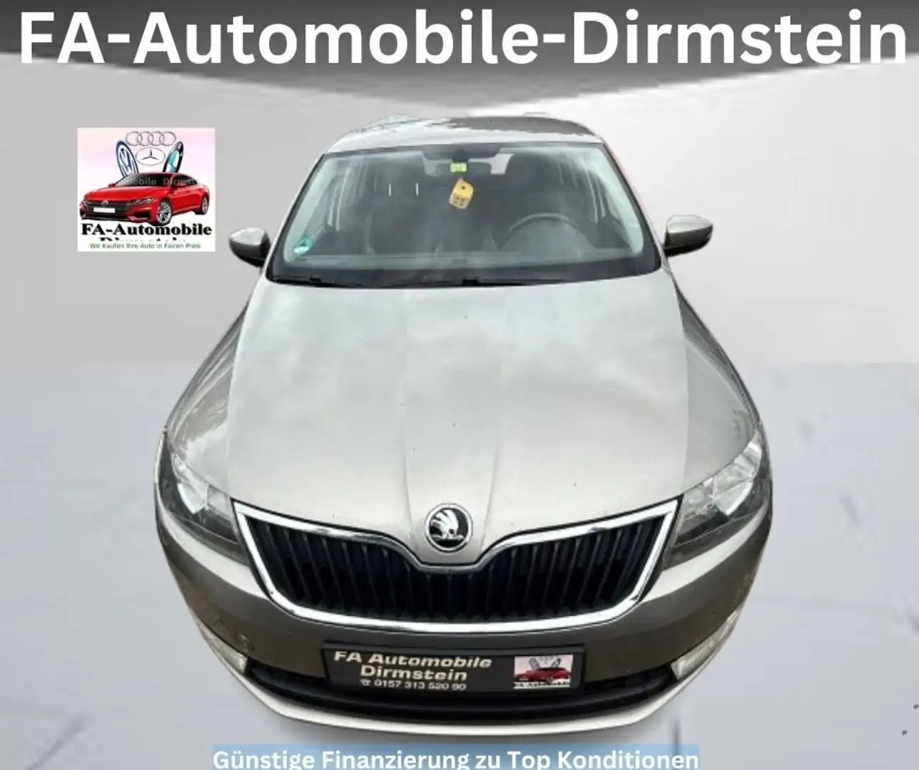 Skoda Rapid/Spaceback Spaceback Joy* NAVI*PDC*STHZ*TEM*E6*MFL Beige - 1