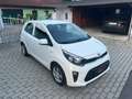 Kia Picanto 1,0 MPI SHZ, LHZ, KLIMA, AUX, USB, BLUETOOTH USW. Weiß - thumbnail 5