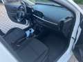 Kia Picanto 1,0 MPI SHZ, LHZ, KLIMA, AUX, USB, BLUETOOTH USW. Weiß - thumbnail 14