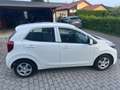 Kia Picanto 1,0 MPI SHZ, LHZ, KLIMA, AUX, USB, BLUETOOTH USW. Weiß - thumbnail 6