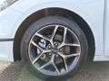Kia Ceed / cee'd ceed 1,0 T-GDI GPF Silber *Style Paket* *VFW* Weiß - thumbnail 14