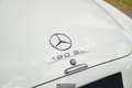 Mercedes-Benz Sonstige 190 SL | 3-Sitzer | Ö-Auslieferung Weiß - thumbnail 14