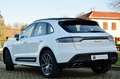 Porsche Macan 2.9 S 380cv pdk SERVICE PORSCHE, TETTO, PERMUTE Grigio - thumbnail 4