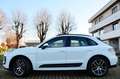 Porsche Macan 2.9 S 380cv pdk SERVICE PORSCHE, TETTO, PERMUTE Grigio - thumbnail 3