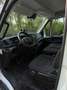 Iveco 35S14V 2.3 352L H3 Biały - thumbnail 8