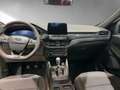Ford Kuga ST-Line leichter Hagelschaden Sportpaket Navi Schwarz - thumbnail 13