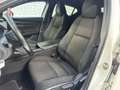 Mazda 3 2.0L eSkyactiv-G M-Hybrid Executive Bianco - thumbnail 7