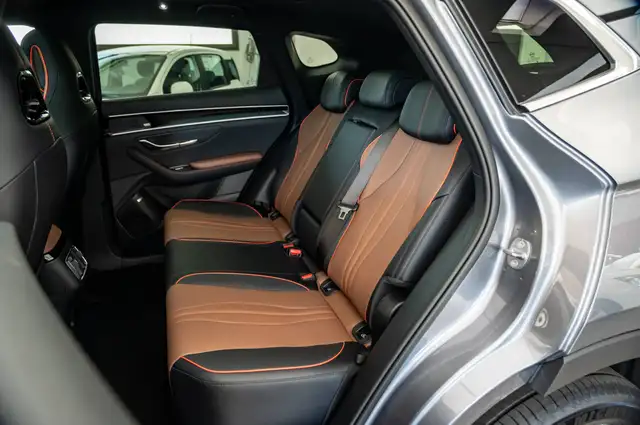 Byd Seal view 14