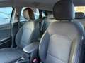 Kia Ceed / cee'd Ceed 1.0 T-GDi Navi Edition ISG (EU6d) Bleu - thumbnail 17