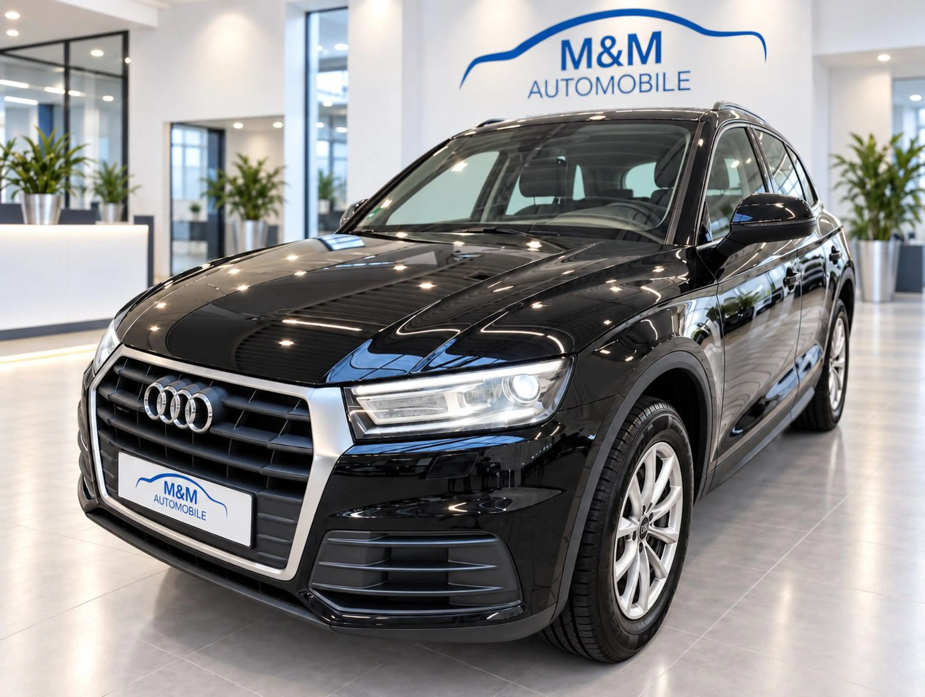Audi Q5 40 TDI Quattro Navi Kamera AHK StandHZ 1.Hand — photo 2