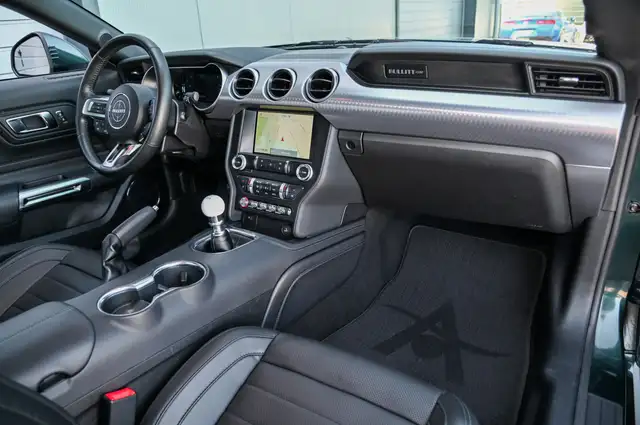 Ford Mustang view 10