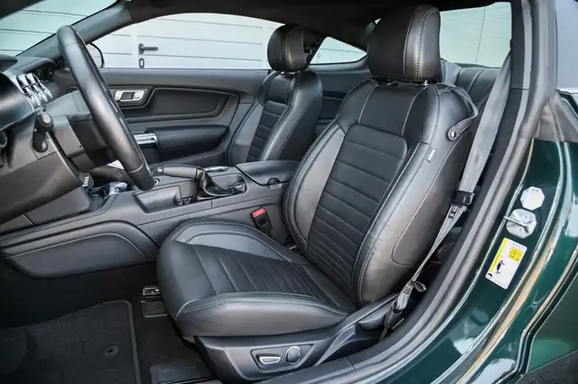 Ford Mustang view 11