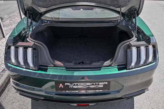 Ford Mustang view 8