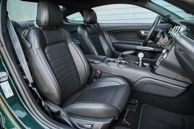 Ford Mustang view 12