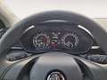 Skoda Fabia 1.0 MPI Active LED PDC SHZ SpurH Start/Stop Weiß - thumbnail 13