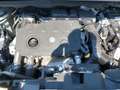 Citroen Berlingo M Feel BlueHDI 130 Rollstuhlumbau Bleu - thumbnail 5