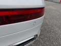 Audi Q5 2.0 TDI 190 CV quattro S tronic S line plus Weiß - thumbnail 11