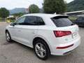 Audi Q5 2.0 TDI 190 CV quattro S tronic S line plus Weiß - thumbnail 3