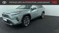 Toyota RAV 4 2.5 Hybrid AWD Executive trekhaak Vert - thumbnail 1