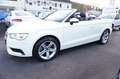 Audi A3 Cabriolet quattro *Automatik*1Hand*wenig KM* Blanc - thumbnail 4