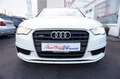 Audi A3 Cabriolet quattro *Automatik*1Hand*wenig KM* Blanc - thumbnail 11