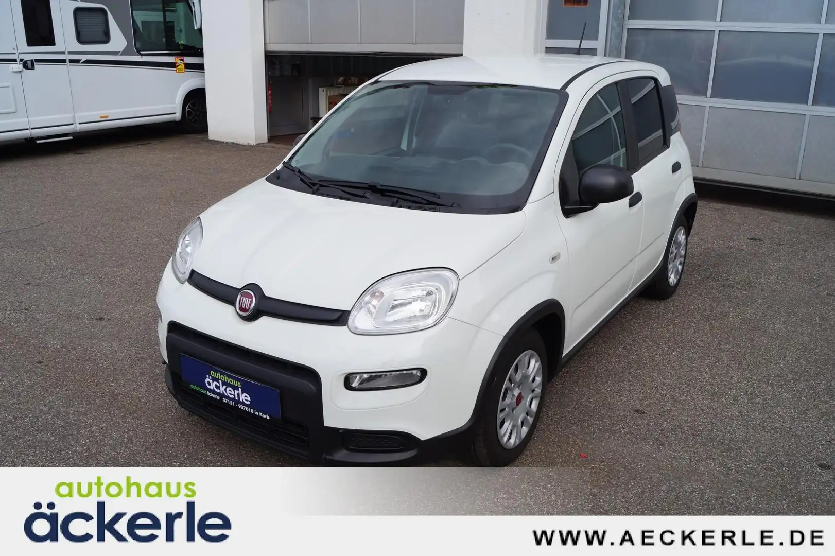 Fiat Panda Base Klima I Bluetooth I DAB I Mild-Hybrid Weiß - 1