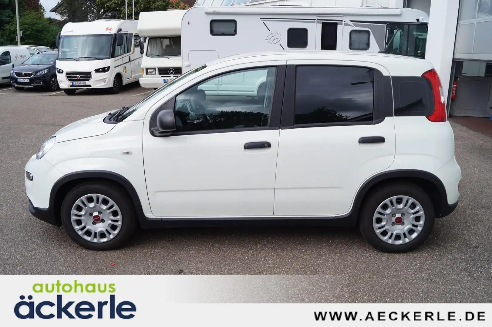 Fiat Panda Base Klima I Bluetooth I DAB I Mild-Hybrid Weiß - 2