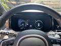 Kia Sorento Sorento 2.2 CRDi AWD Aut. Platinum Edition mit AHK Grau - thumbnail 11