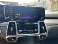 Kia Sorento Sorento 2.2 CRDi AWD Aut. Platinum Edition mit AHK Grau - thumbnail 14