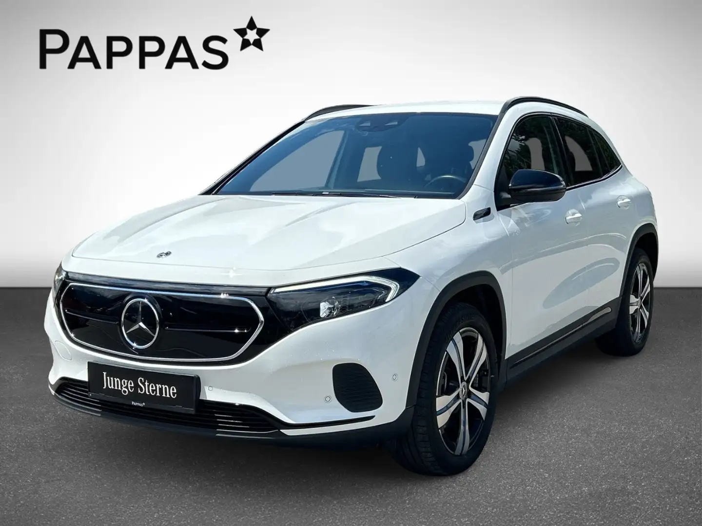 Mercedes-Benz EQA 250 Navi Cam Distr PTS Wide LED SHZ EASY-PACK Weiß - 2