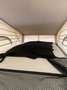 Mercedes-Benz Marco Polo Marco Polo 250 d 4MATIC HORIZON Noir - thumbnail 8