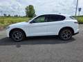 Alfa Romeo Stelvio 2.2 Turbodiesel 210 CV AT8 Q4 Sprint Blanc - thumbnail 7