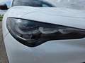 Alfa Romeo Stelvio 2.2 Turbodiesel 210 CV AT8 Q4 Sprint Blanc - thumbnail 9