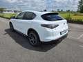 Alfa Romeo Stelvio 2.2 Turbodiesel 210 CV AT8 Q4 Sprint Blanc - thumbnail 4