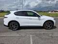 Alfa Romeo Stelvio 2.2 Turbodiesel 210 CV AT8 Q4 Sprint Blanc - thumbnail 8