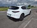 Alfa Romeo Stelvio 2.2 Turbodiesel 210 CV AT8 Q4 Sprint Blanc - thumbnail 6