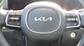 Kia Sorento 1,6 T-GDi Plug-In Hybrid GPF AWD Platin Aut. 5S... Grau - thumbnail 10