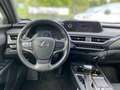 Lexus UX 250h 2.0 Hybrid Style Edition LED KAMERA Gris - thumbnail 9