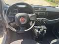 Fiat New Panda HYBRID EASY 5POSTI Grigio - thumbnail 13