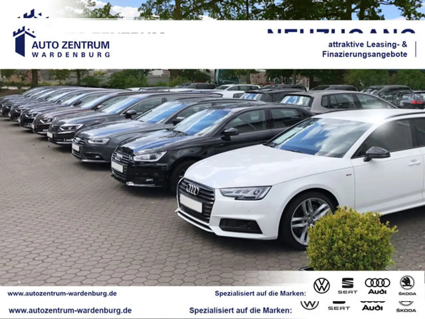 Volkswagen Caddy Cargo 2.0 TDI 4Motion Anhängerkpl. SHZ PDC 4Motio Weiß - 1