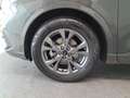 Ford Kuga 1.5 EcoBlue 120 CV aut. 2WD ST-Line X Grigio - thumbnail 9