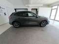 Ford Kuga 1.5 EcoBlue 120 CV aut. 2WD ST-Line X Grigio - thumbnail 7