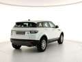 Land Rover Range Rover Evoque Range Rover Evoque 5p 2.0 td4 Pure 150cv (Br) Bianco - thumbnail 5