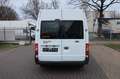 Ford Transit Kasten FT 280 M City Light Weiß - thumbnail 4