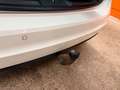 SEAT Alhambra 2.0 TDI DSG Crono Plus Pano Kamera AHK Wit - thumbnail 16