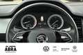 Skoda Kodiaq 1.5 TSI Clever DSG LED+STHZG+LANE+ACC+NAV Blau - thumbnail 15